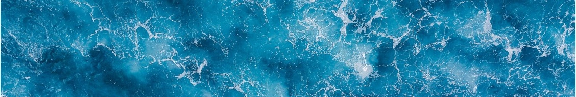 Pacific Fusion banner