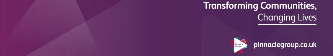 Pinnacle Group Limited banner