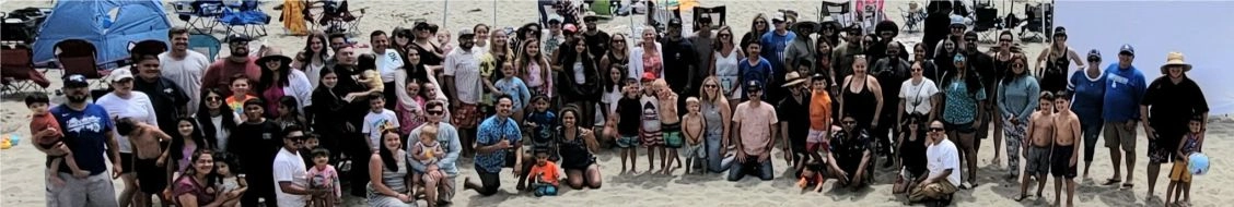 Diversified Project Services International, Inc. (Dpsi) banner