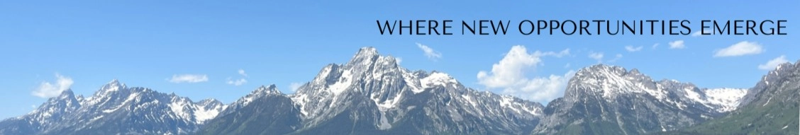 Frontier Executive Search, Llc banner