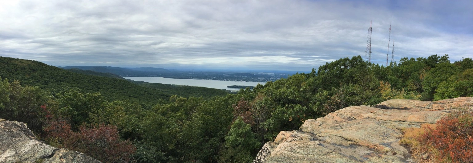 Delta Oaks Group banner