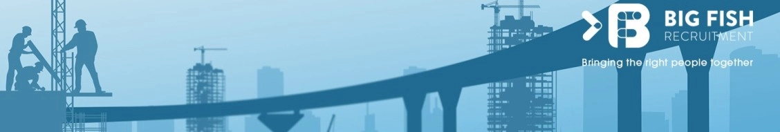 Big Fish Consult banner