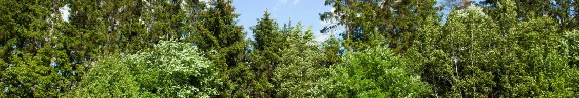 Mercer International Inc. banner