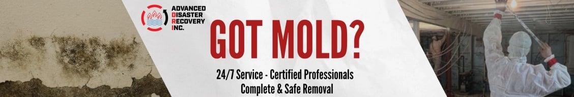 Advanced Disaster Recovery, Inc. banner