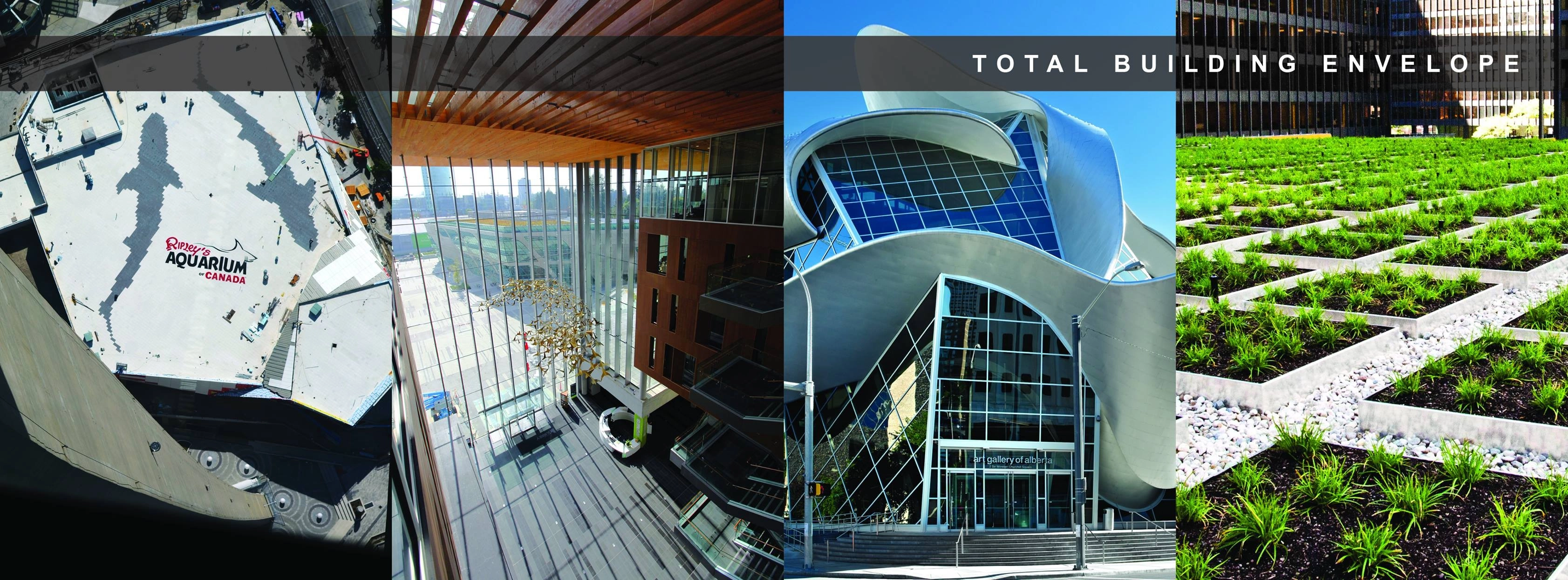 Flynn Group Of Companies banner