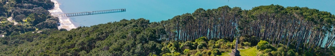 Auckland Council banner