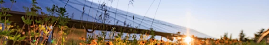 Cve North America banner