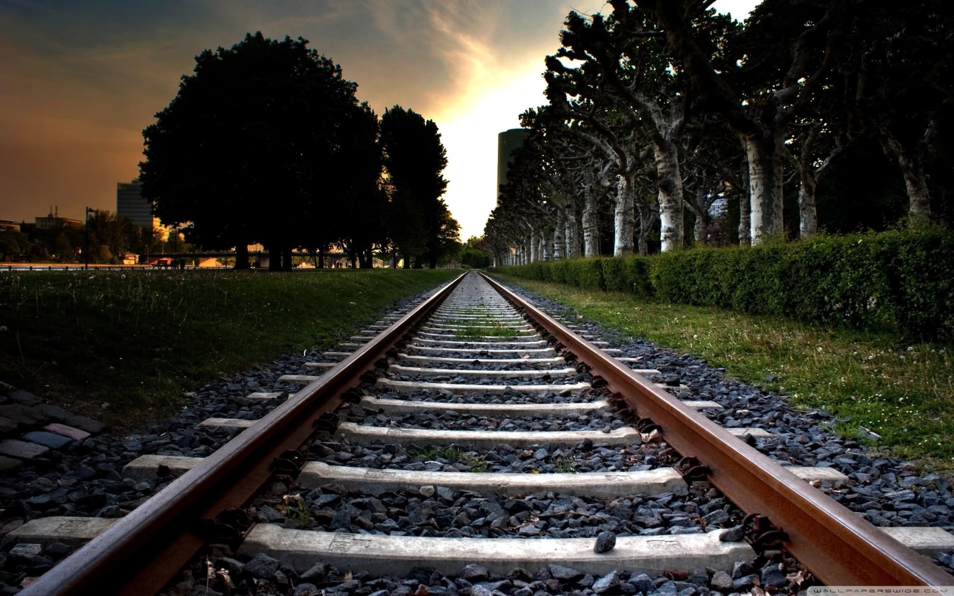 Cathcart Rail banner