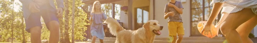 Bone Dry Roofing banner