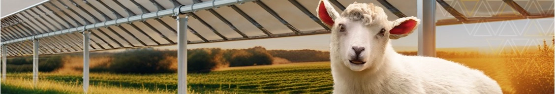 Array Technologies banner