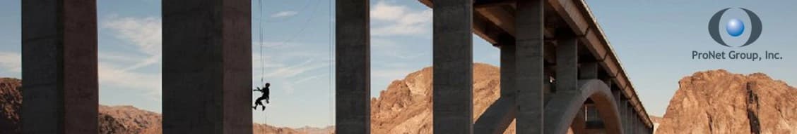 Pronet Group, Inc. banner