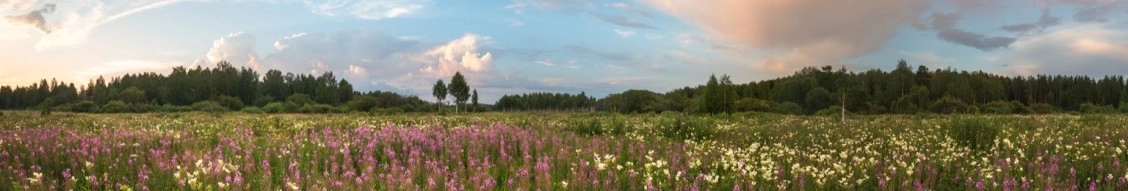 Oesc (Oneida Esc Group) banner