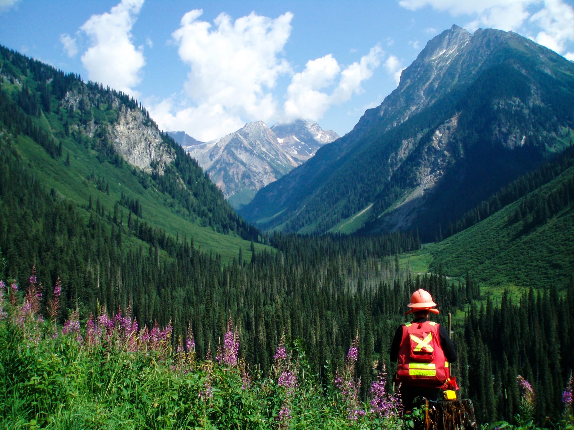 onsite engineering ltd. banner