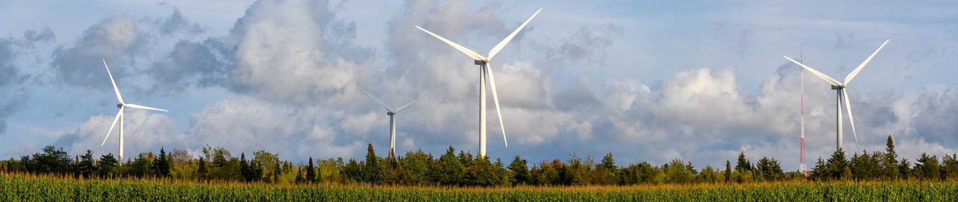 The Wesson Group banner