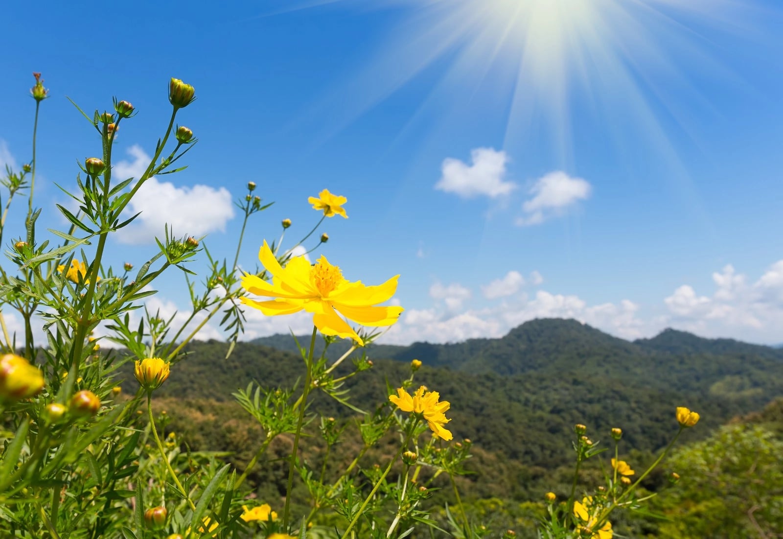 Cascade Environmental, Llc banner