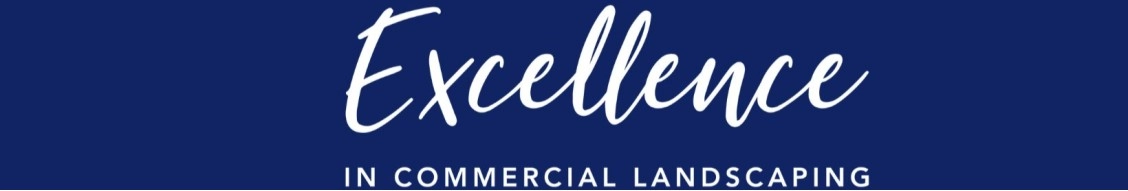 Yellowstone Landscape banner