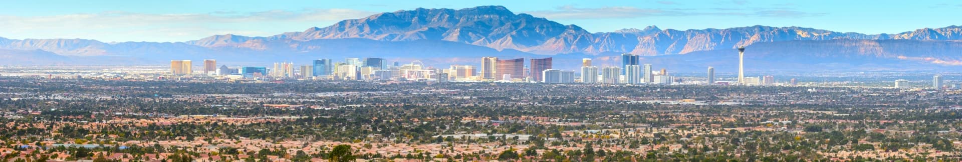 Stout Management Company banner