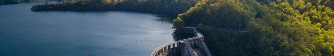 Brookfield Renewable banner