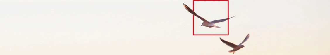 Altrad Services Apac banner