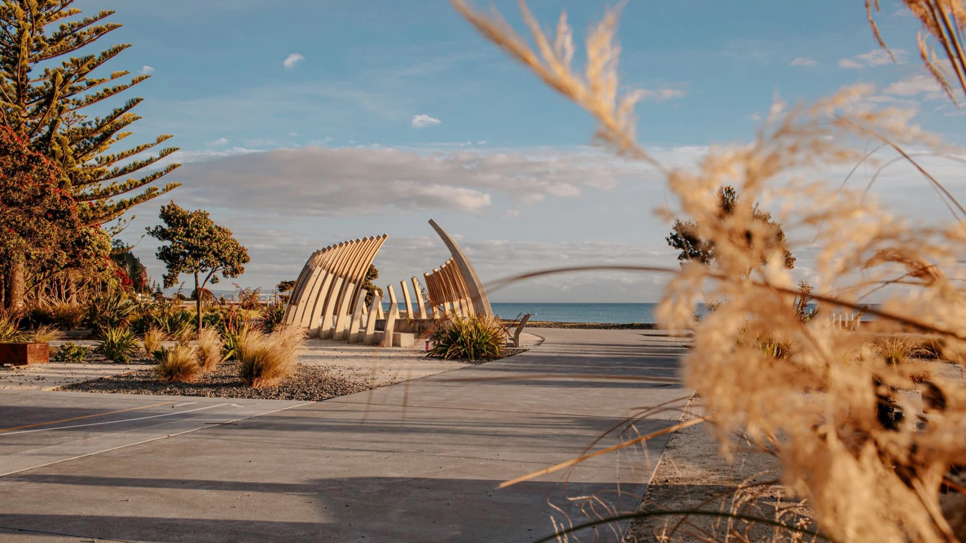 Napier City Council banner