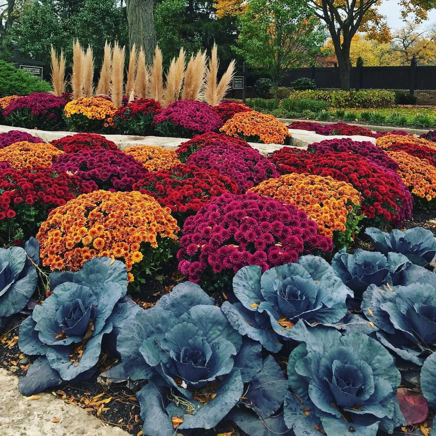 landscape concepts management banner