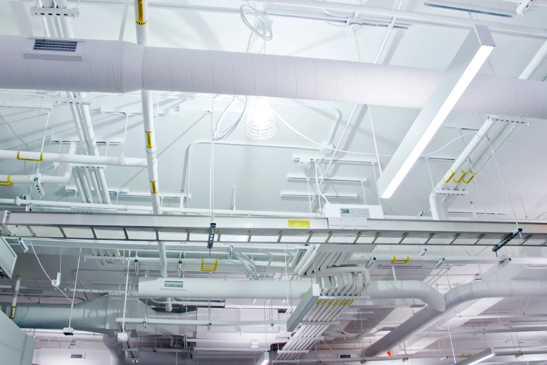 Pacific Rim Mechanical banner