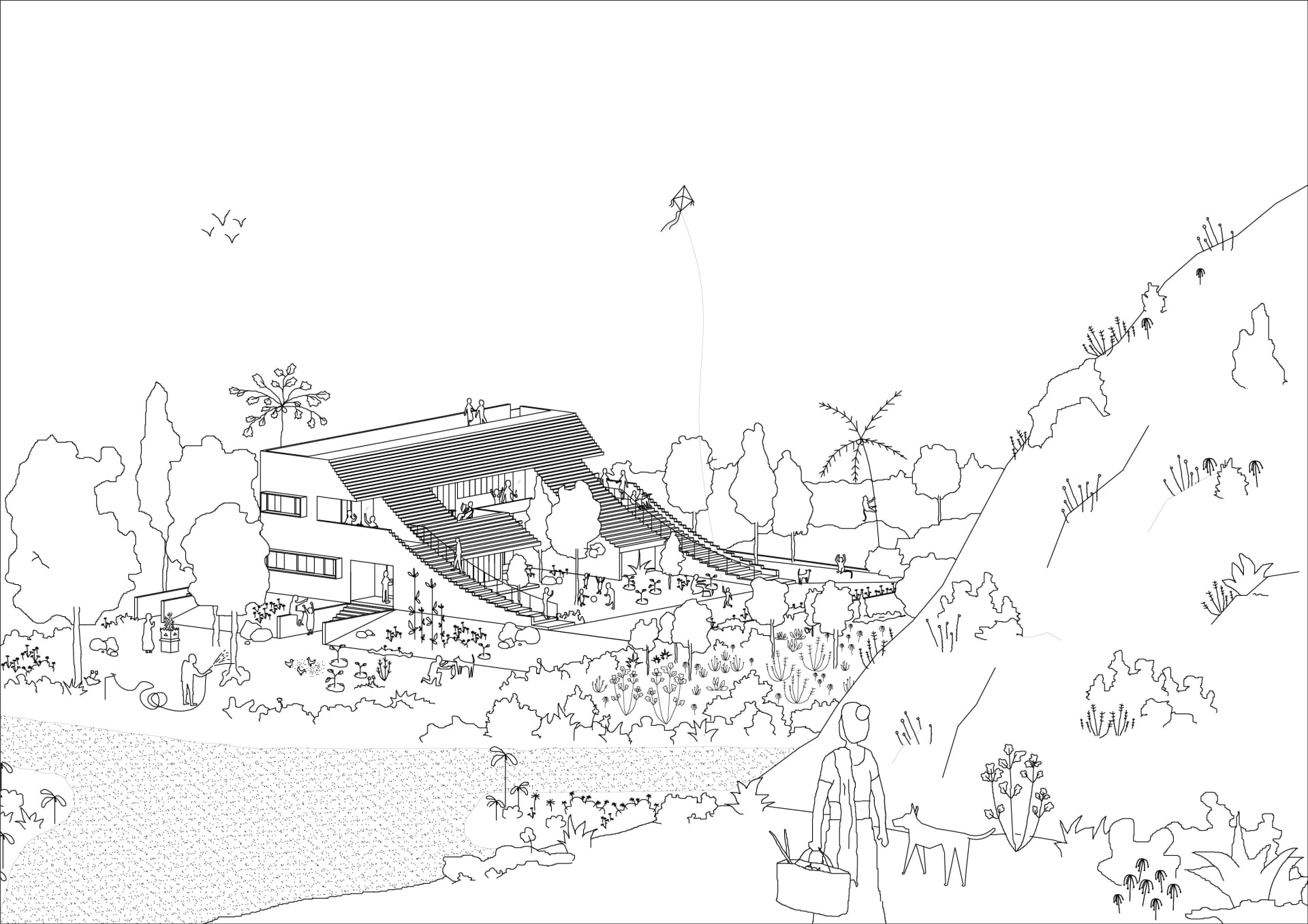 the architecture story ®