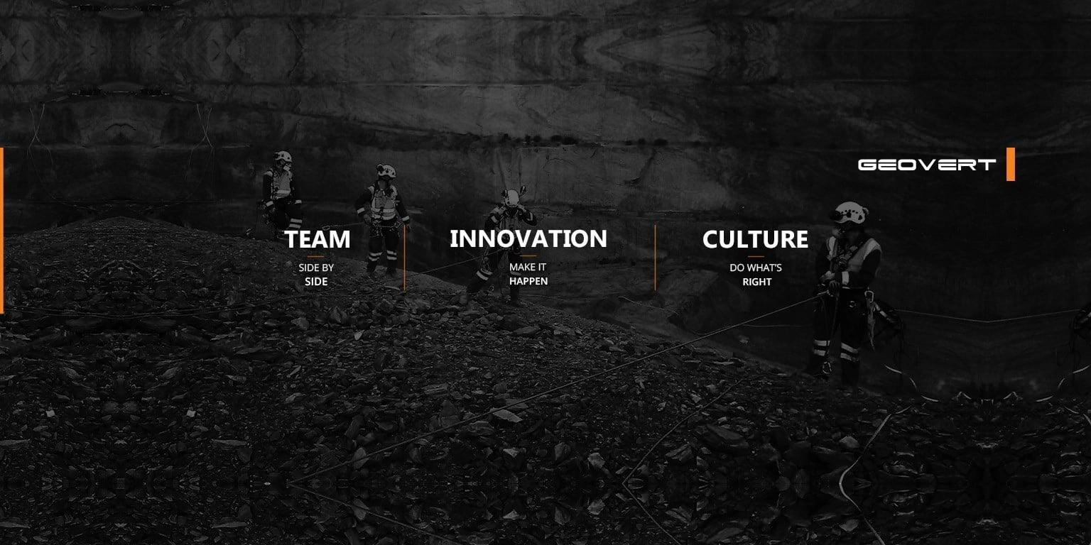 Geovert banner