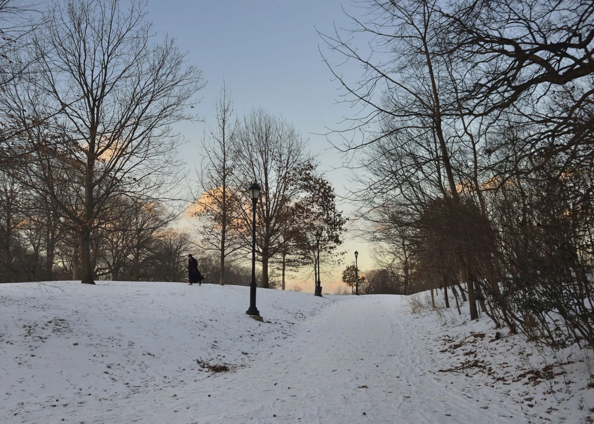 Prospect Park Alliance banner