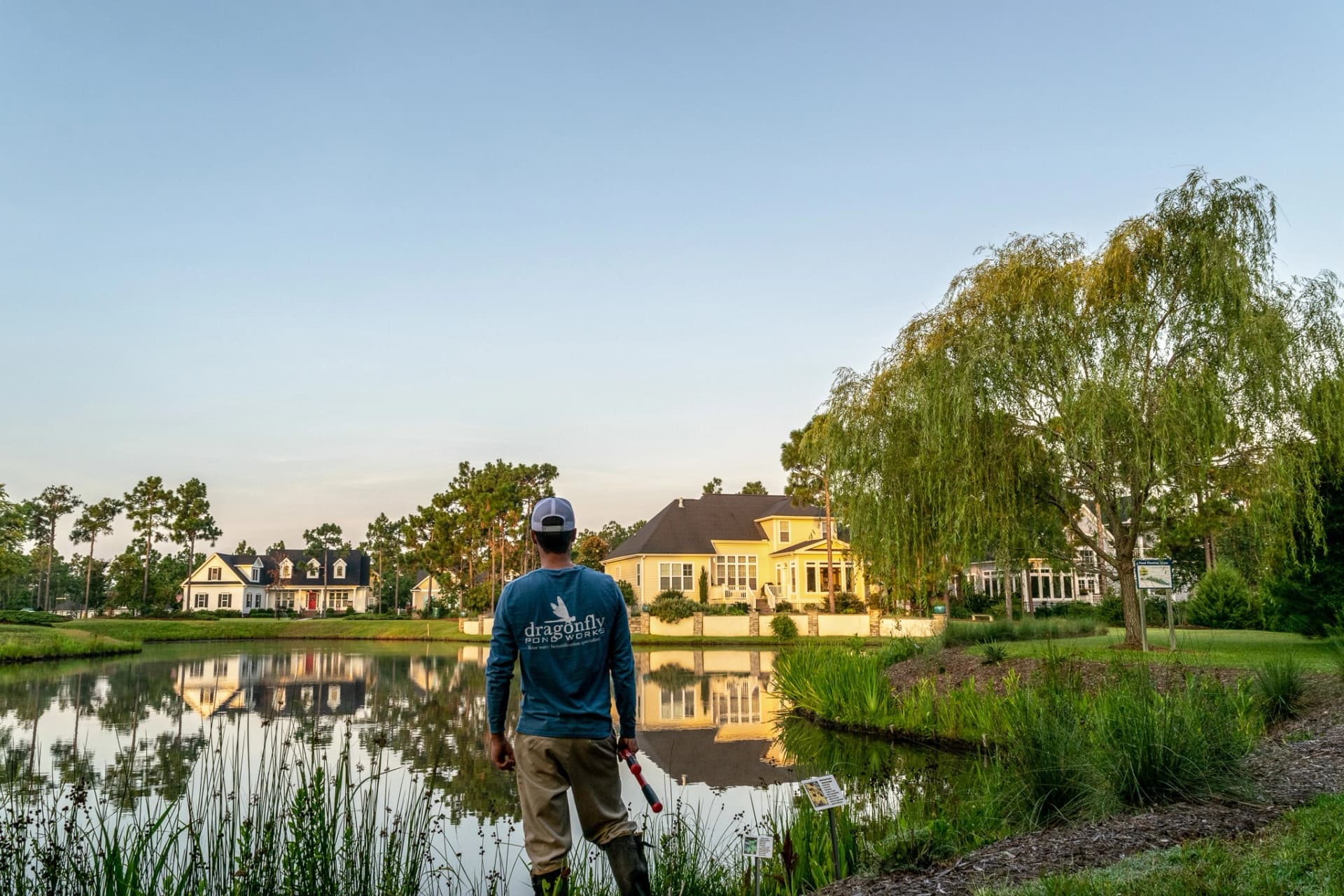 Dragonfly Pond Works banner