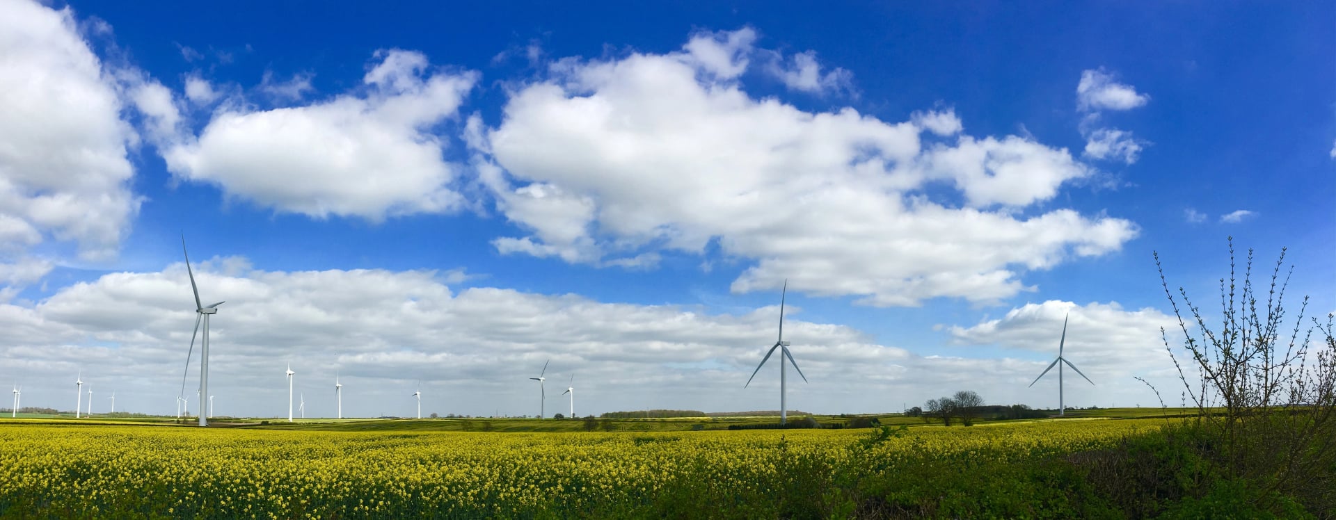 green cat renewables ltd banner