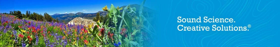 Swca Environmental Consultants banner