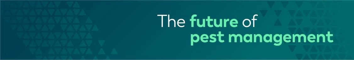 vergo pest management ltd banner