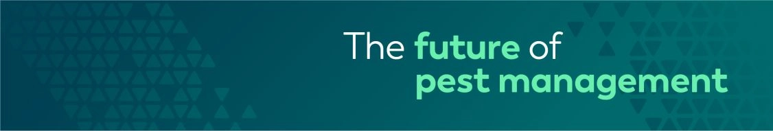 vergo pest management ltd banner