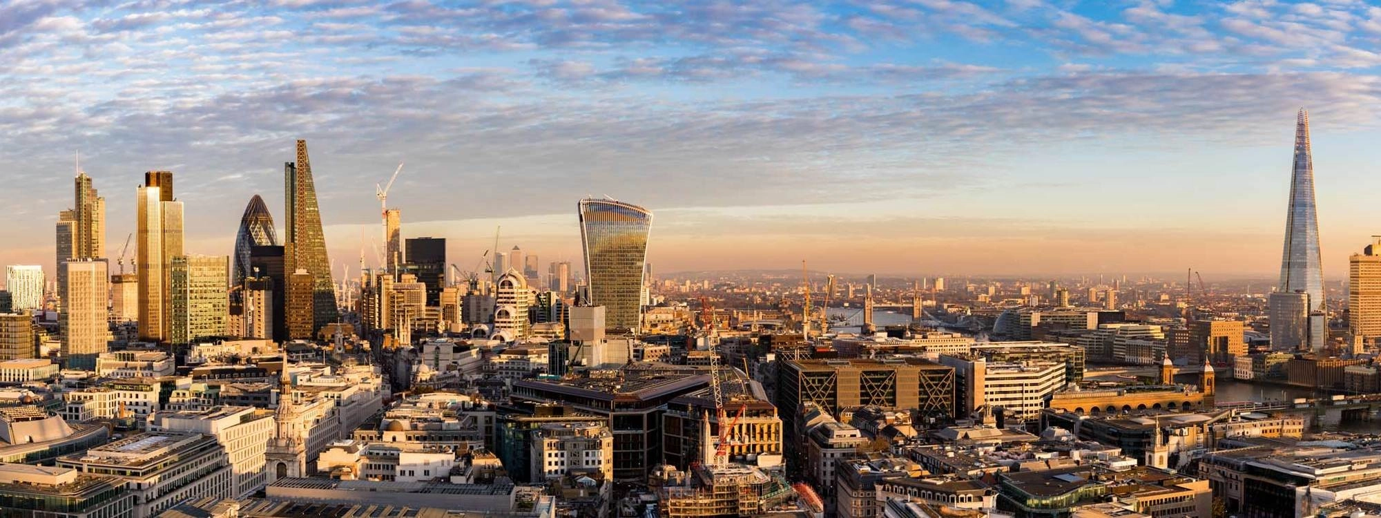 Gold Group Ltd banner