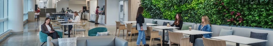 Bhdp Architecture banner