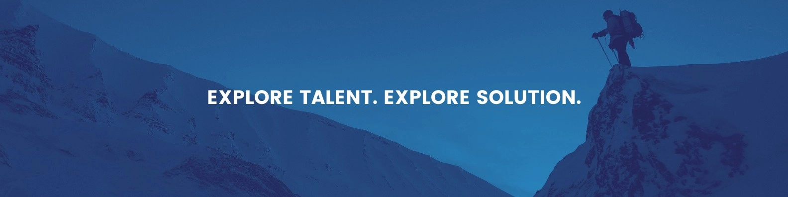 Solution Search Ltd banner