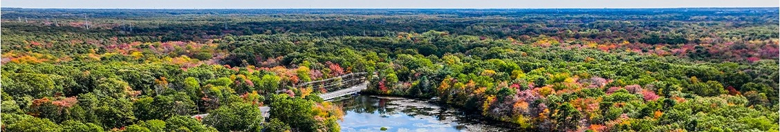 French & Parrello Associates banner