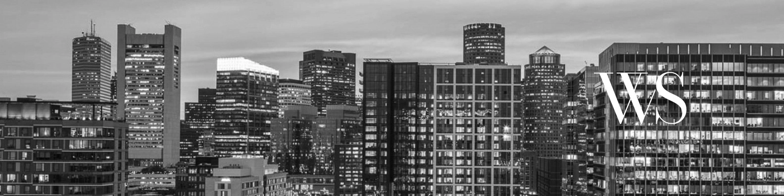 Ws Development banner