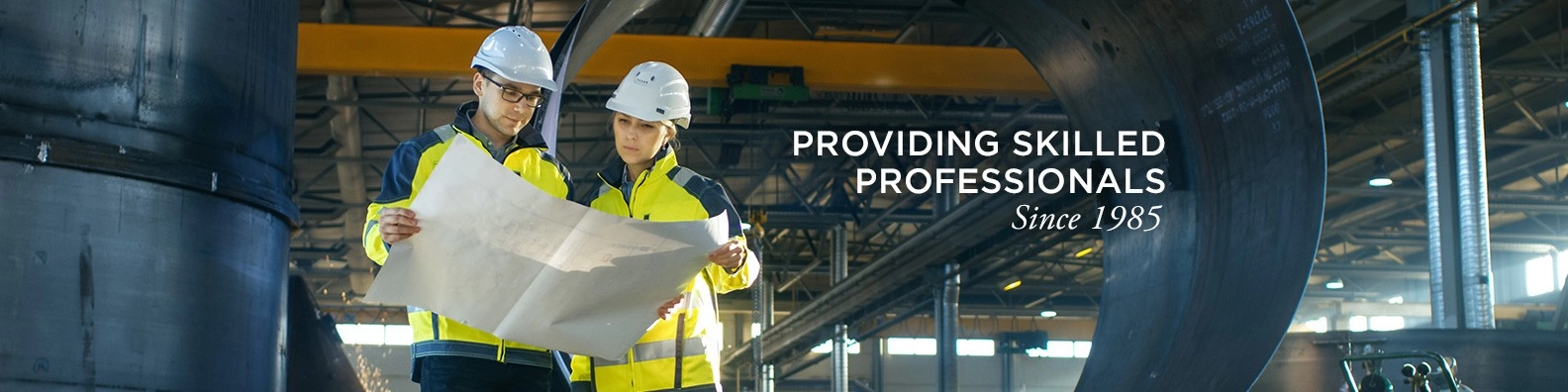 The Hawk Group banner