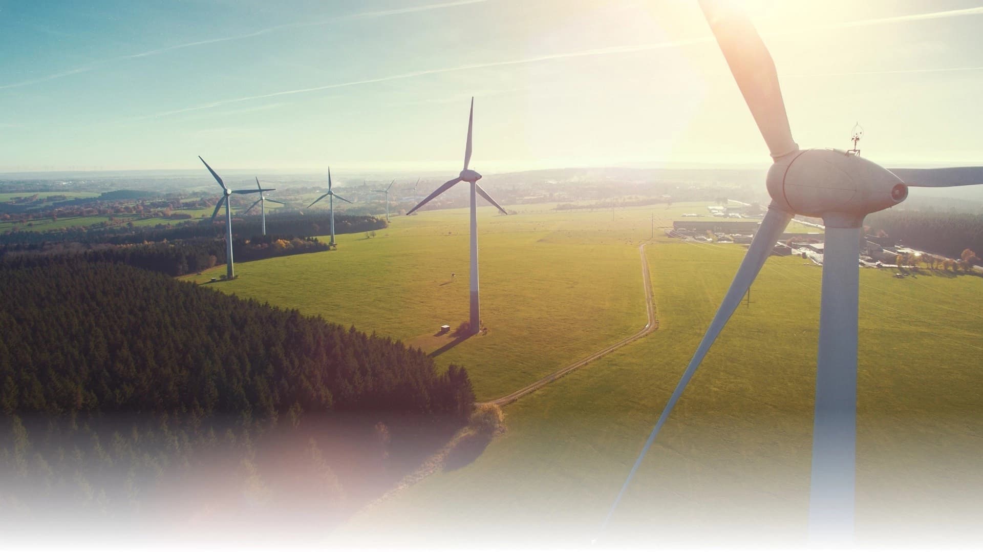 Rising Edge Group banner