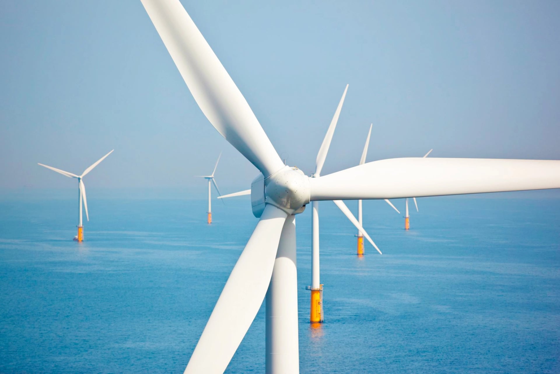 Ow Ocean Winds banner