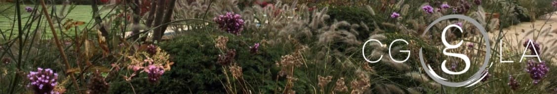 Cgla banner