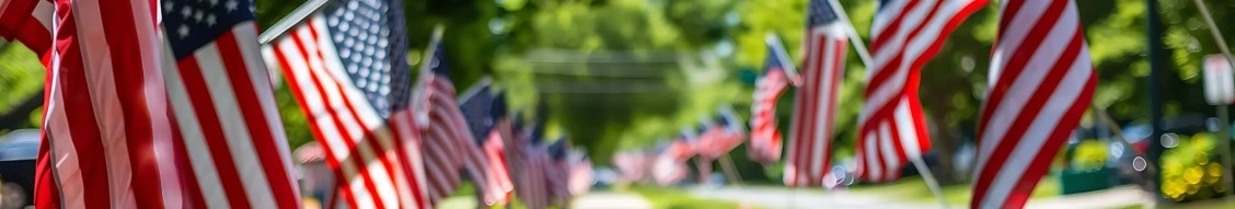 United Land Services banner