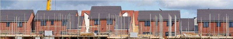 Caralex Recruitment Limited banner