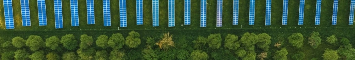 Treaty Oak Clean Energy banner