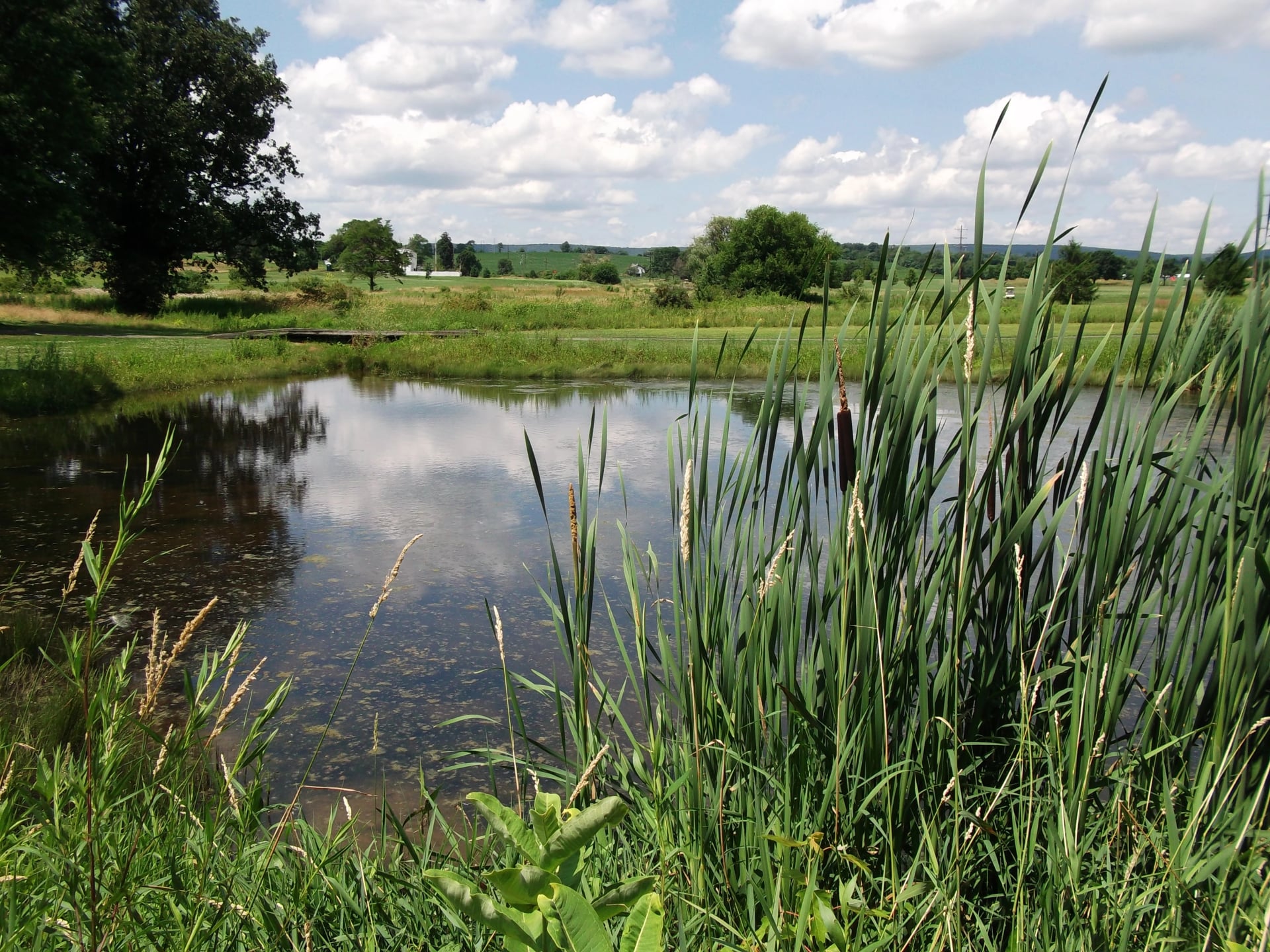 liberty environmental banner
