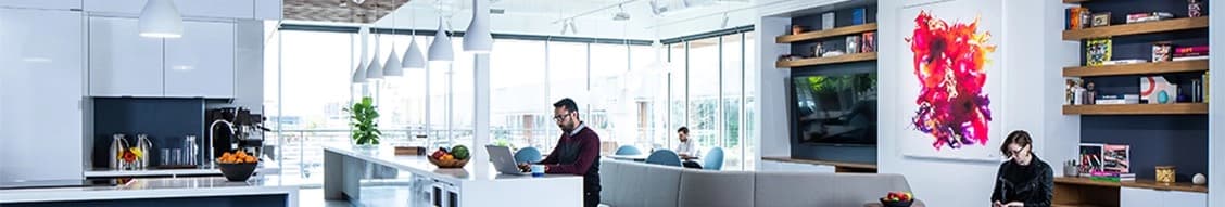 Lutron Electronics banner