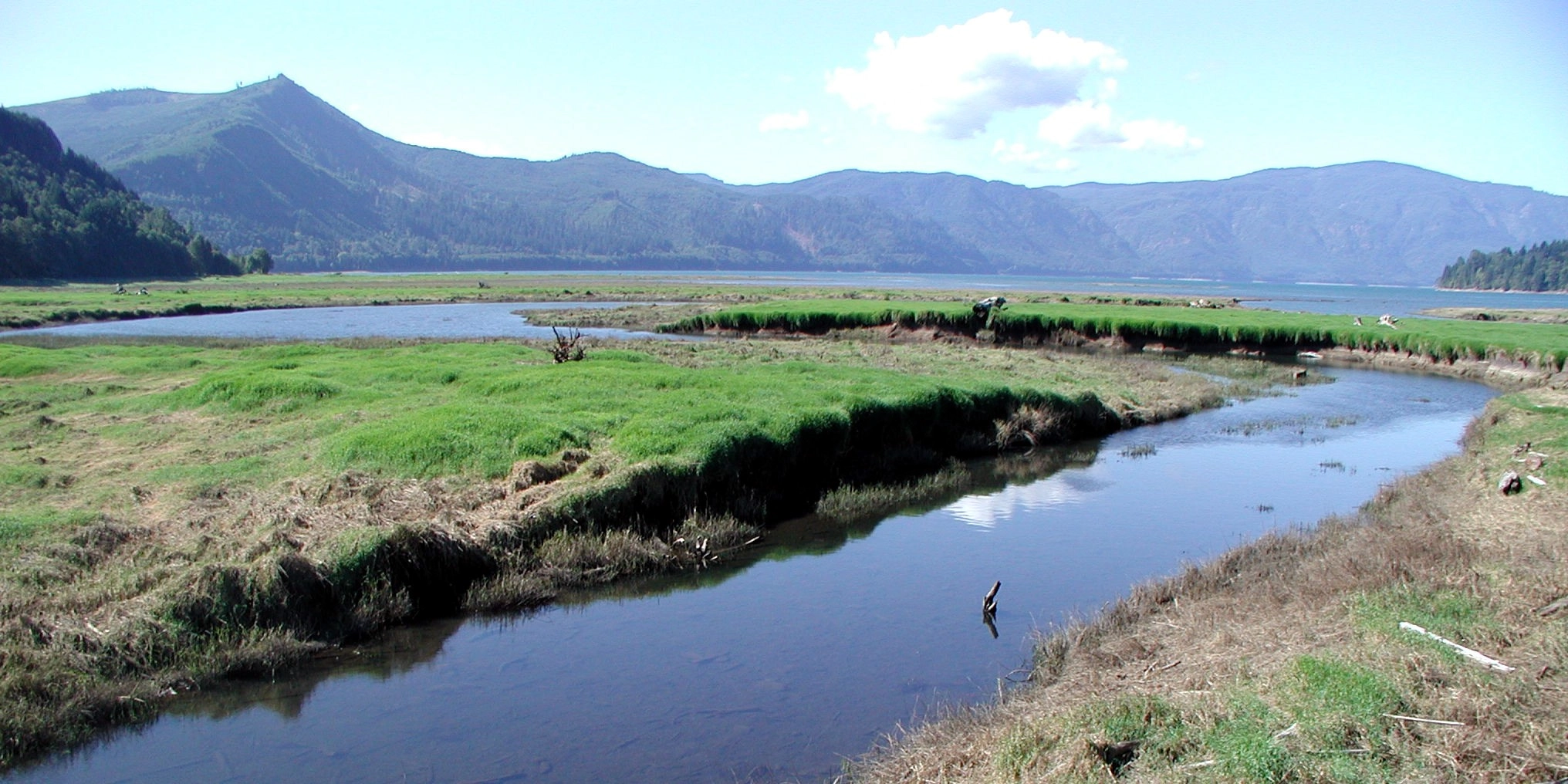 Kemron Environmental Services banner