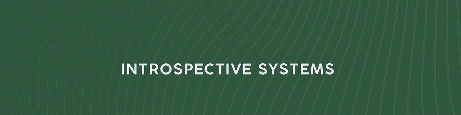Introspective Systems Llc banner